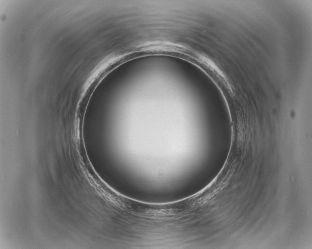 X0000060801376200511141428