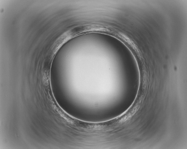 X0000060801377200511141428