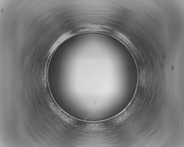 X0000060801378200511141428