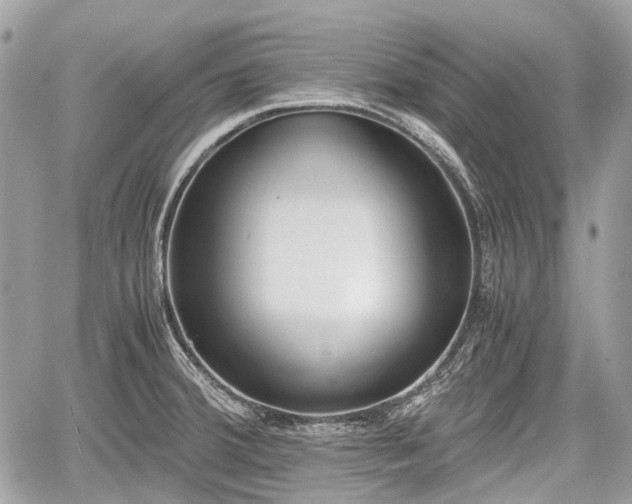 X0000060801380200511141428