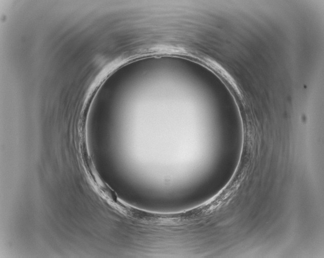 X0000060801381200511141428