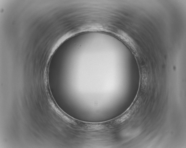 X0000060801382200511141428