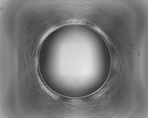 X0000060801383200511141428