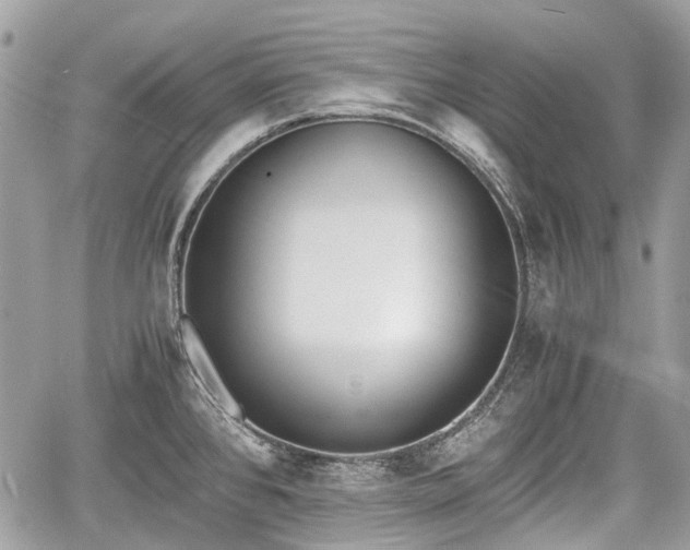 X0000060801384200511141428