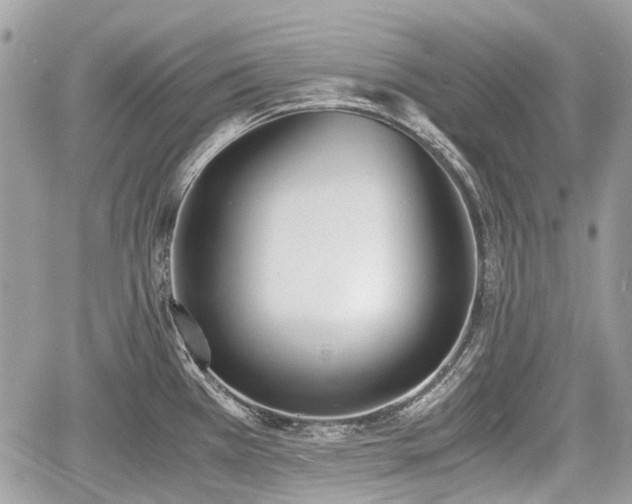 X0000060801385200511141428