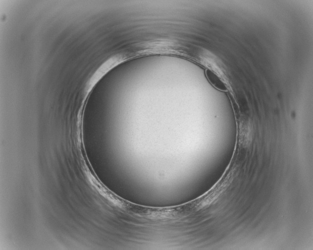 X0000060801386200511141428