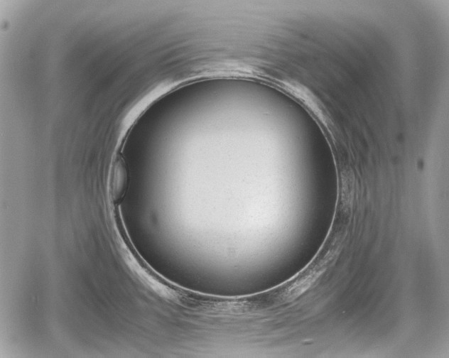 X0000060801387200511141428