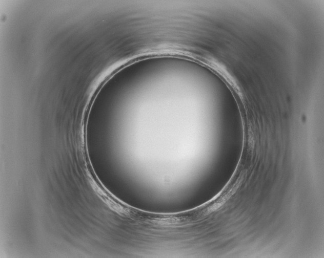 X0000060801388200511141428