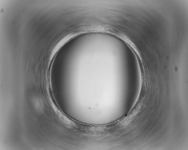 X0000060801389200511141428