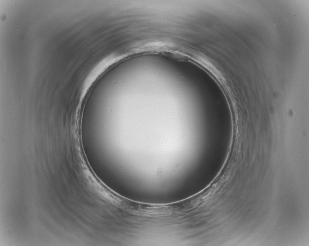 X0000060801392200511141428