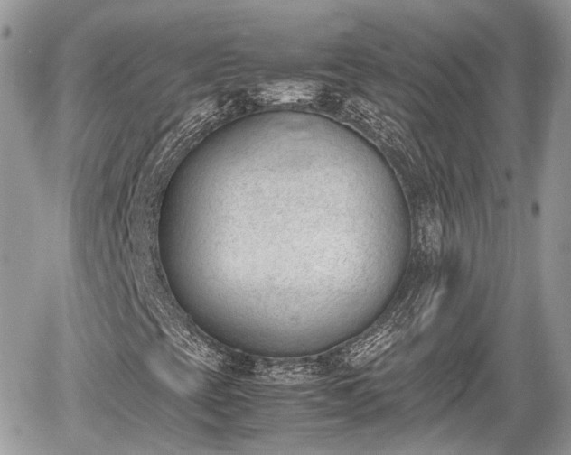 X0000060801393200511141427