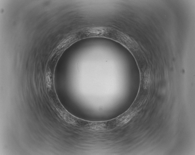 X0000060801394200511141427