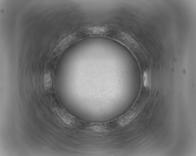 X0000060801395200511141427