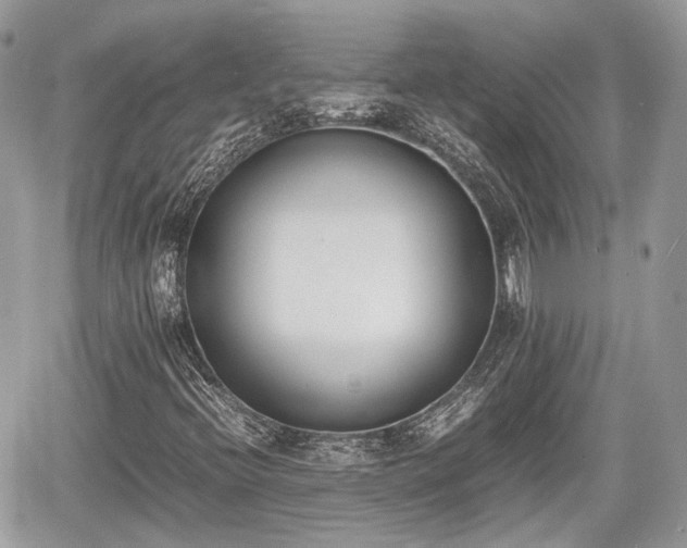 X0000060801396200511141427