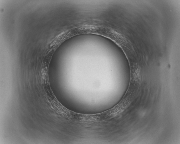 X0000060801397200511141427