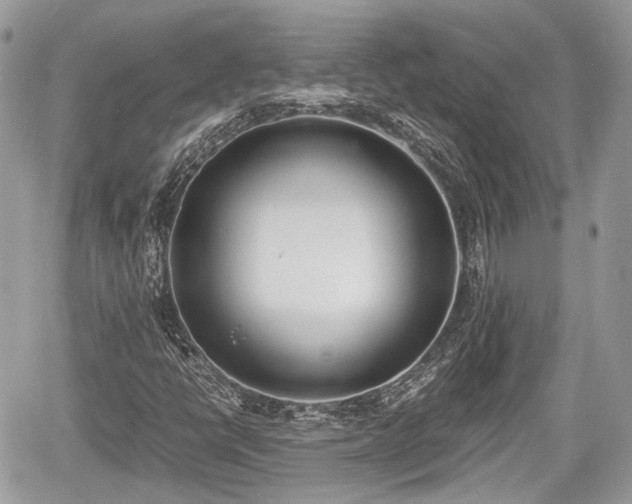 X0000060801398200511141427