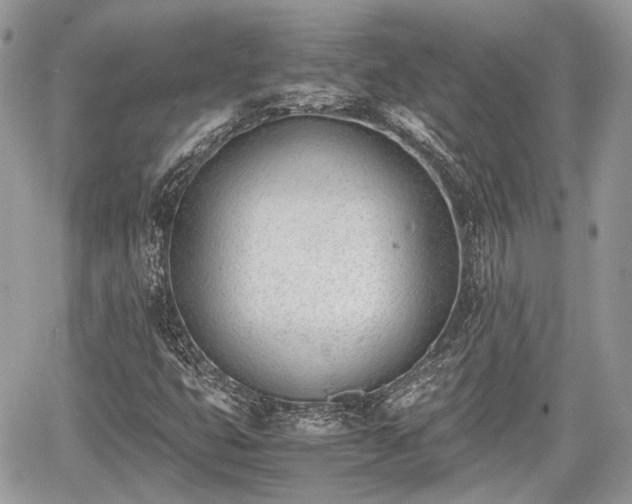 X0000060801399200511141427