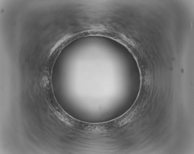 X0000060801400200511141427