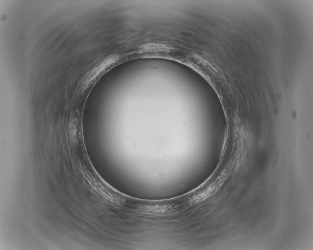 X0000060801401200511141427