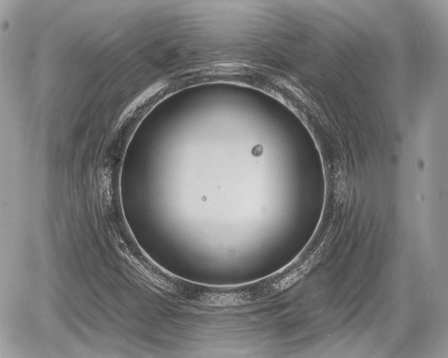 X0000060801402200511141427