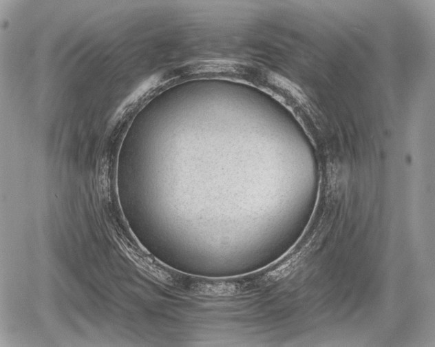 X0000060801403200511141428