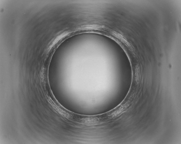 X0000060801404200511141428