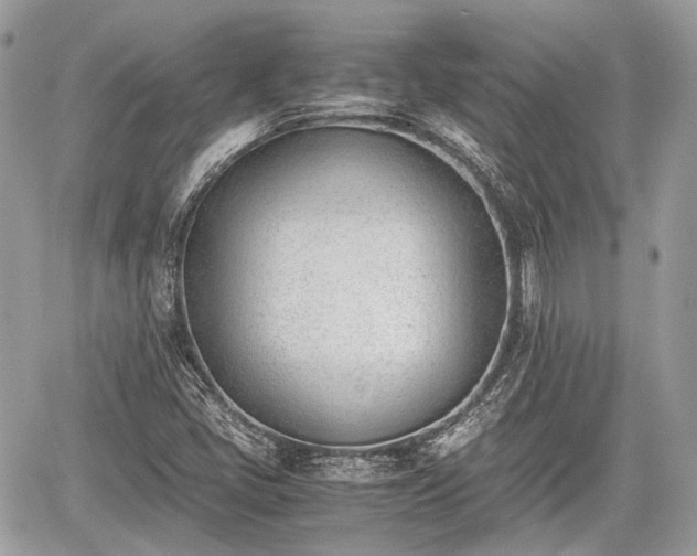 X0000060801405200511141428