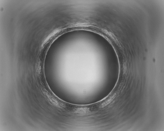 X0000060801406200511141428