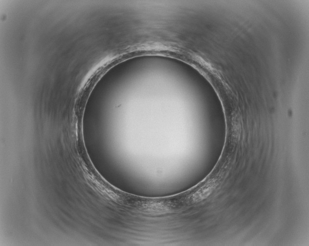 X0000060801408200511141428