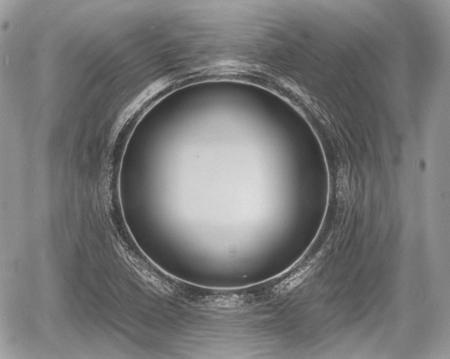 X0000060801410200511141428