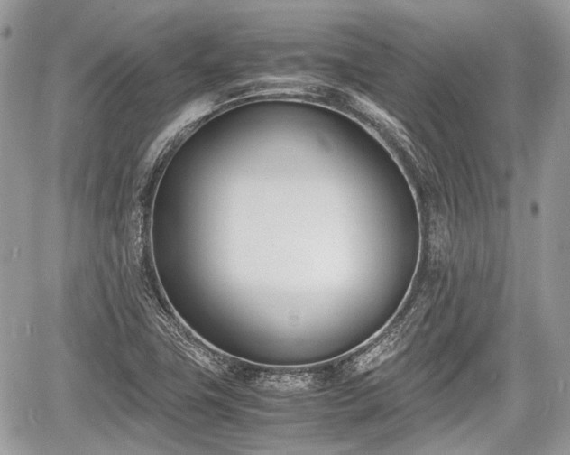 X0000060801411200511141428