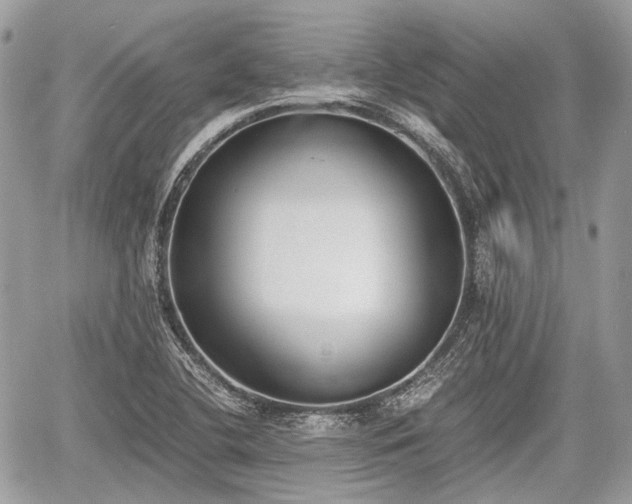 X0000060801412200511141428