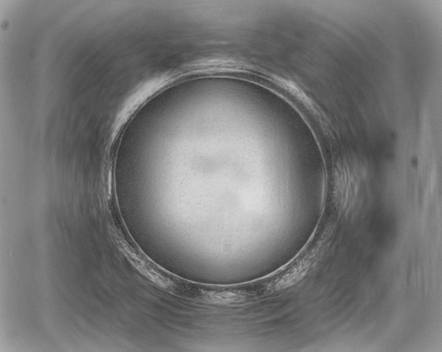 X0000060801413200511141428