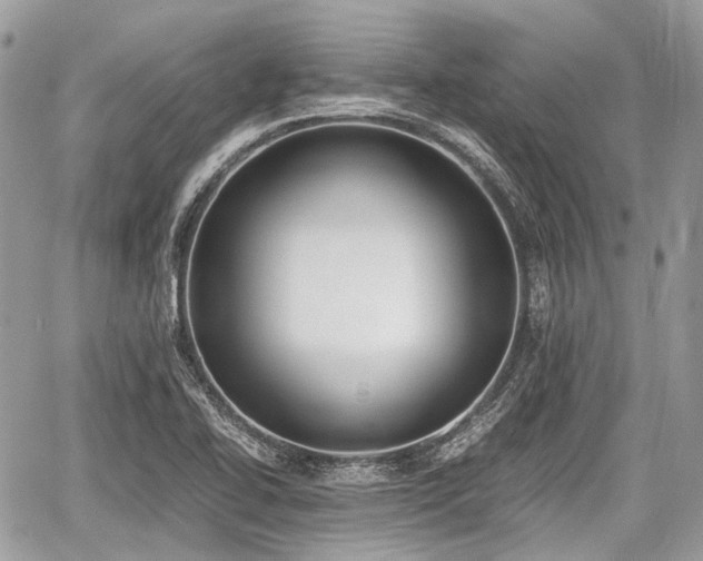 X0000060801414200511141428