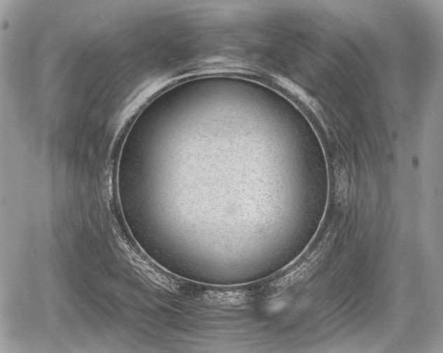 X0000060801415200511141428