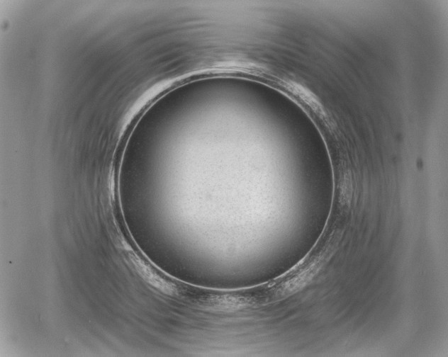 X0000060801420200511141428