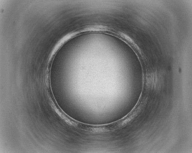 X0000060801421200511141428