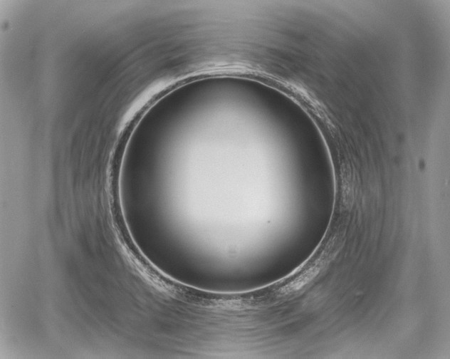 X0000060801422200511141428