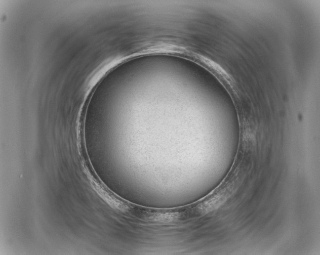 X0000060801423200511141428