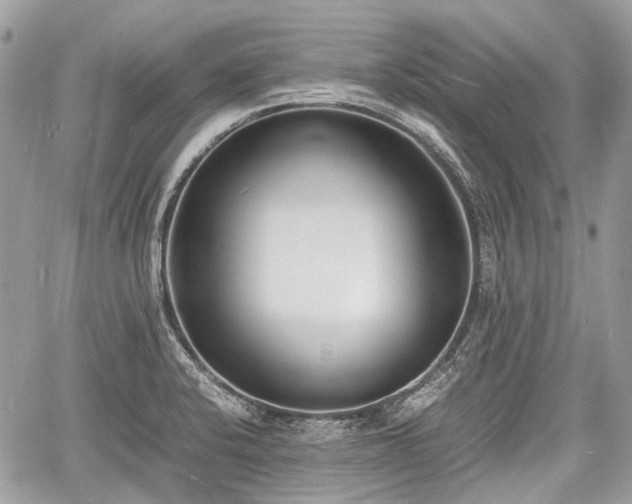 X0000060801424200511141428