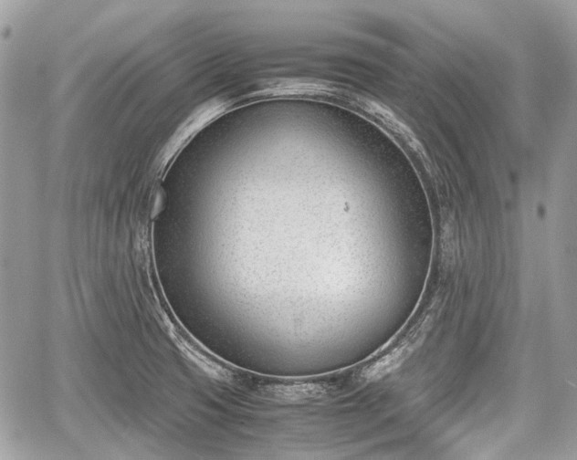 X0000060801425200511141428