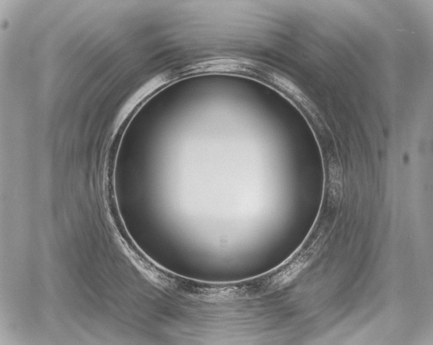 X0000060801426200511141428