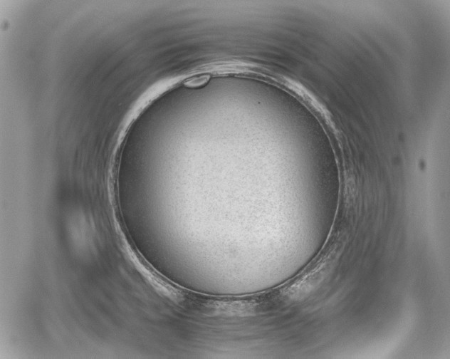 X0000060801429200511141428