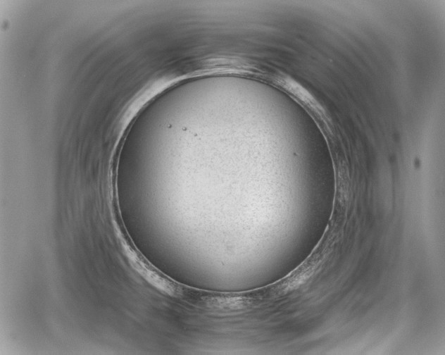 X0000060801431200511141428