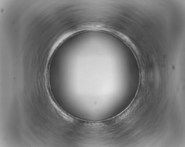 X0000060801432200511141428