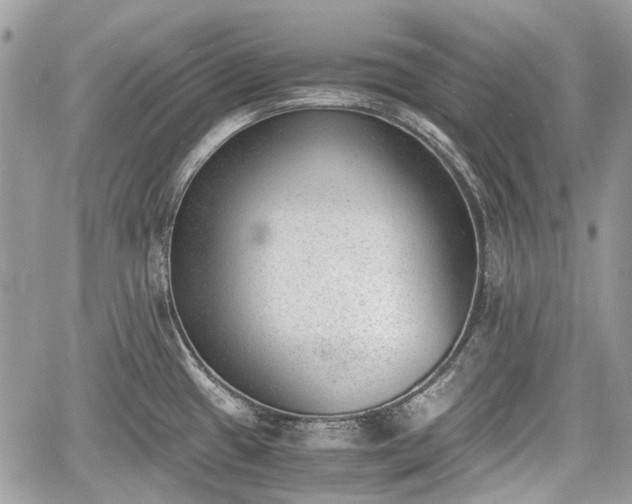 X0000060801433200511141428