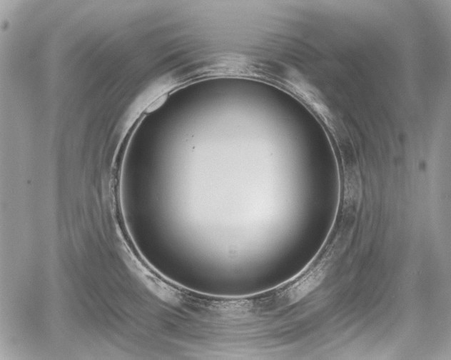 X0000060801434200511141428