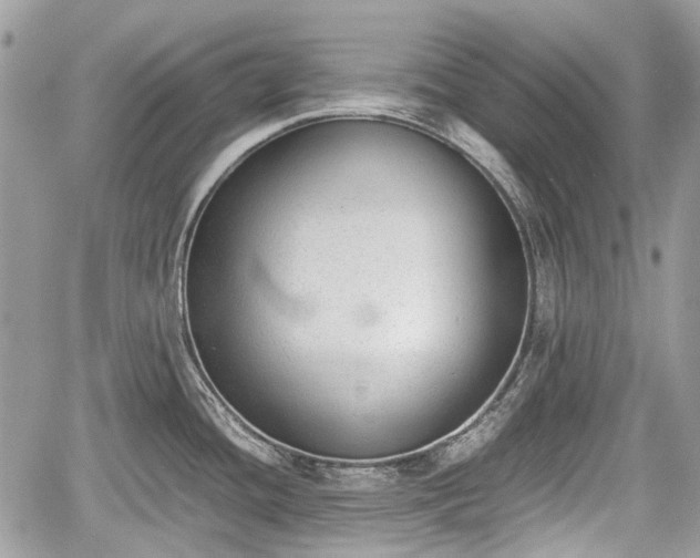 X0000060801436200511141428