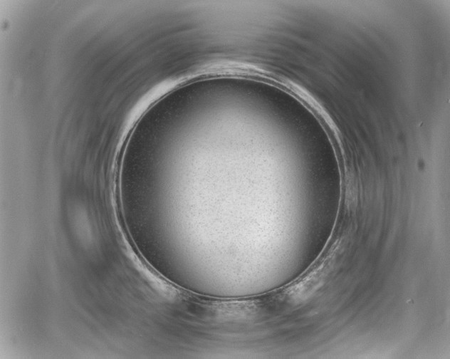 X0000060801437200511141428