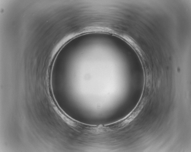 X0000060801438200511141428